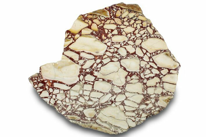 Polished, Brecciated Mookaite Slab - Western Australia #314448